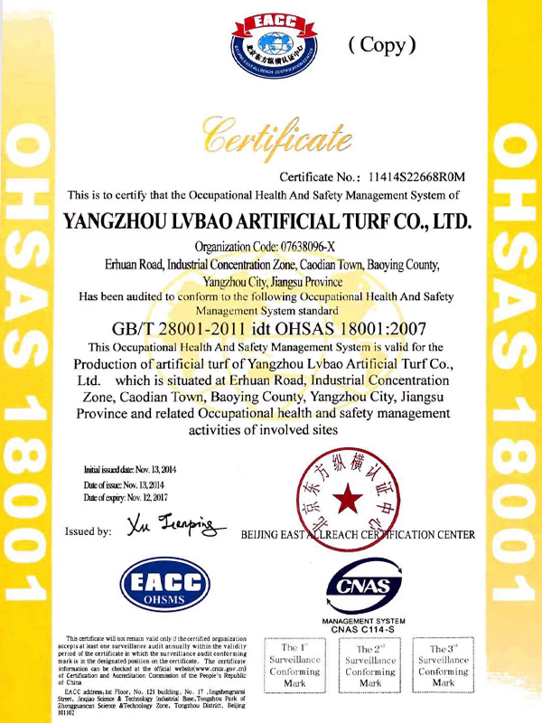 OHSAS18001 2007