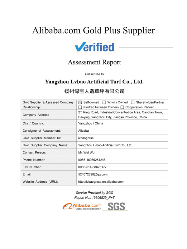 Alibaba.com-Gold-Plus-Supplier